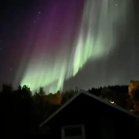 Idyllic With Sauna - Lyngen Alps Holiday home *